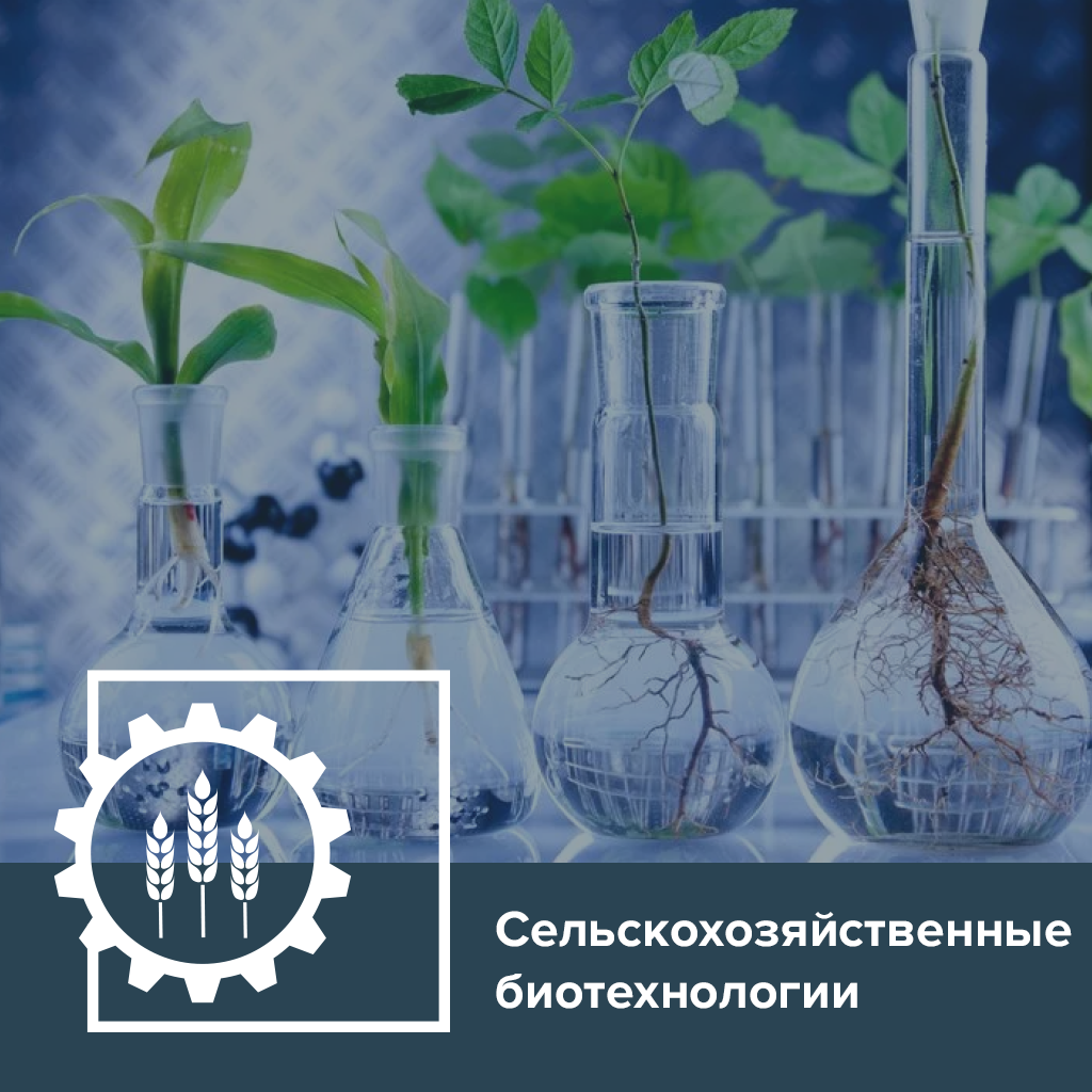 Сельскохозяйственные биотехнологии